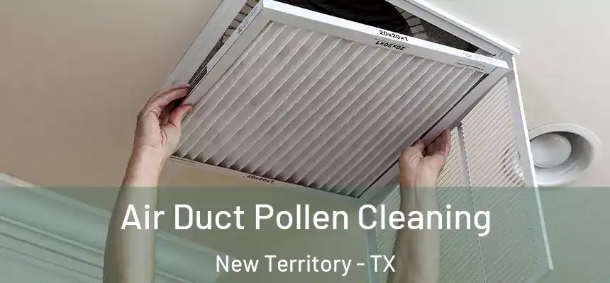  Air Duct Pollen Cleaning New Territory - TX