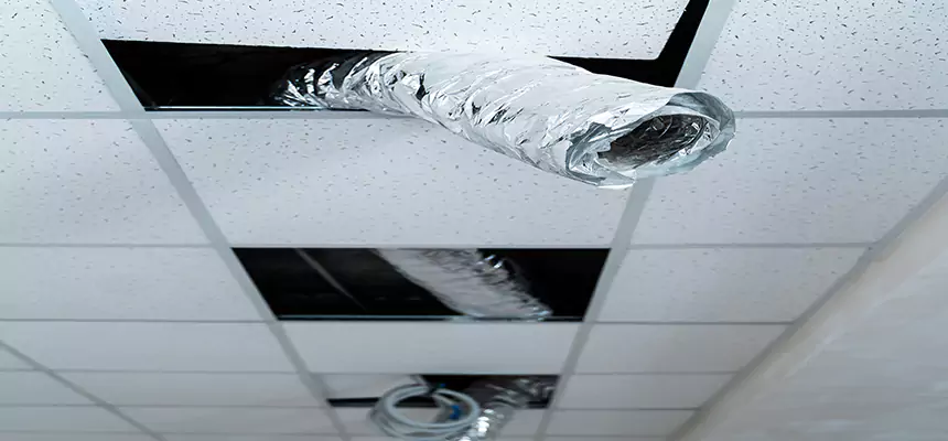 Our Air Duct Pet Hair Removal Services in New Territory, TX