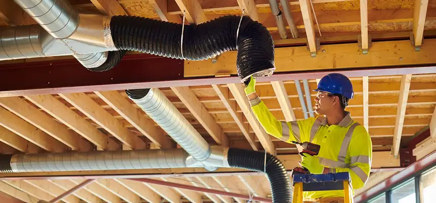 Replacing a Dryer Hose in New Territory, TX