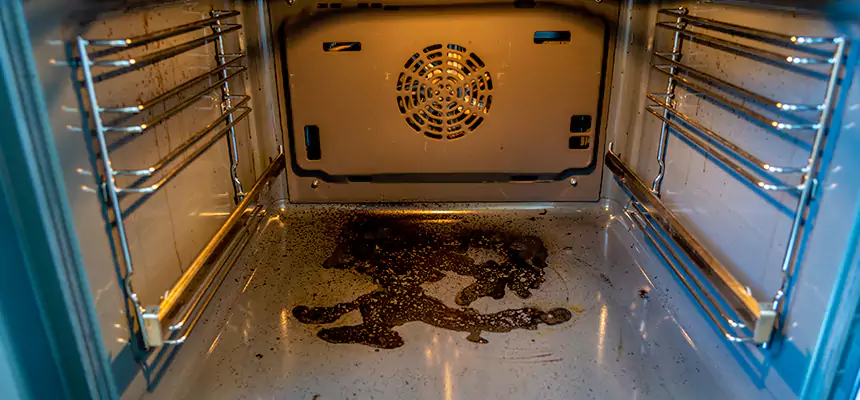 Our Dryer Vent Mold Cleaning Services in New Territory, TX