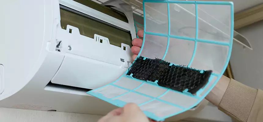 Gentle Ductwork Odor-Control Pet Dander Duct Cleaning in New Territory, TX