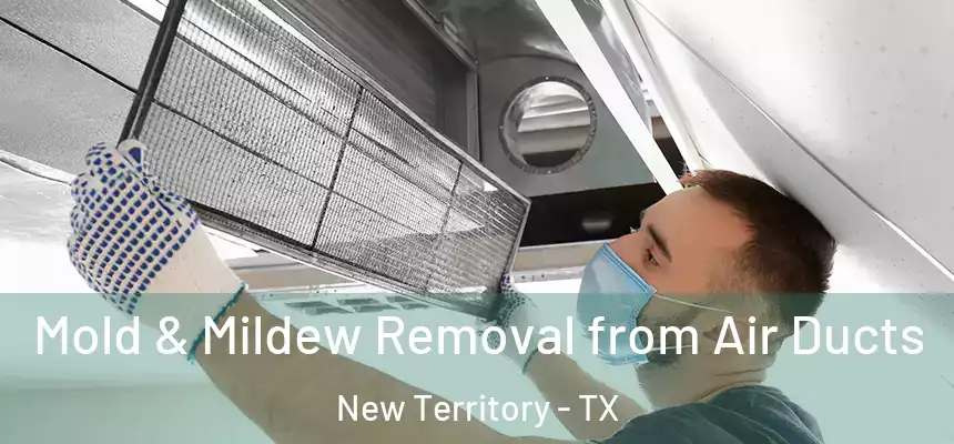 Mold & Mildew Removal from Air Ducts New Territory - TX