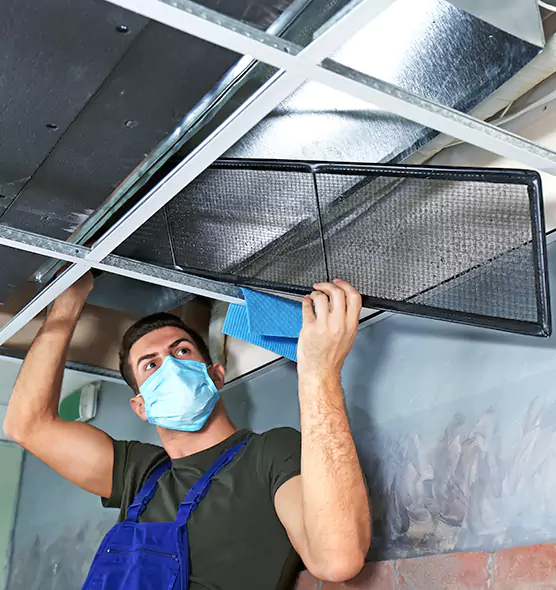 About Air Duct Bacteria Removal in New Territory