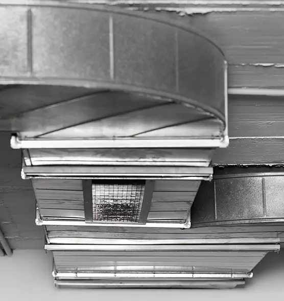 Professional Air Duct Pet Hair Removal in New Territory, TX