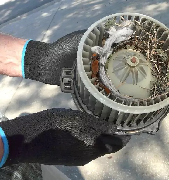 About Air Duct Rat Removal in New Territory, TX