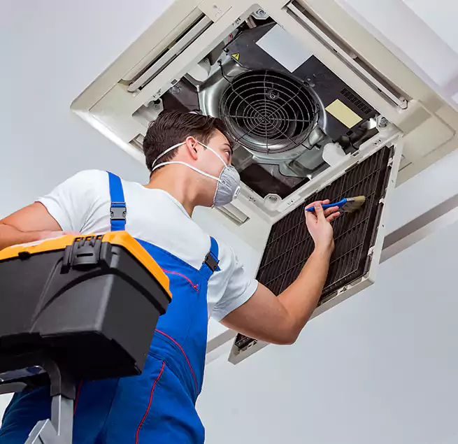 Why Homeowners & Businesses Trust Us in New Territory, TX