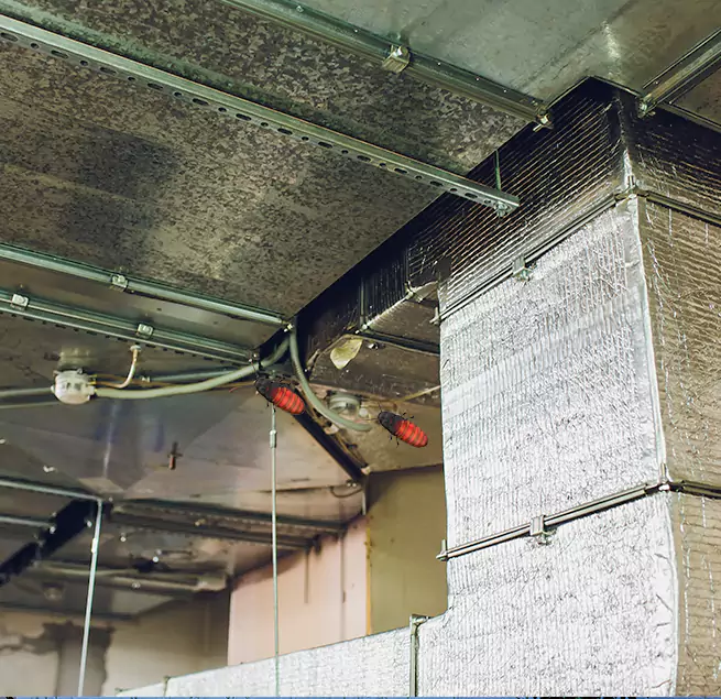 Why Homeowners & Businesses Trust Us New Territory, TX?