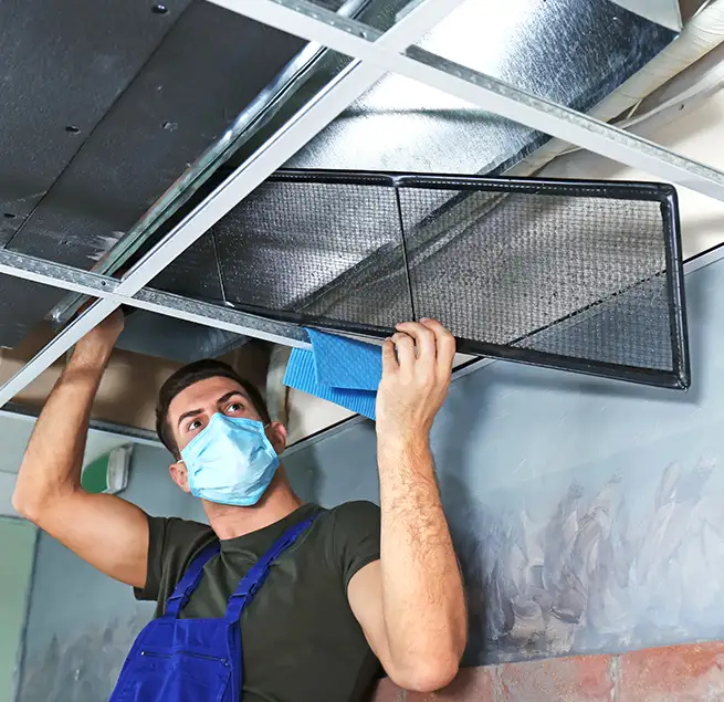 Why Homeowners & Businesses Trust Us in New Territory, TX?