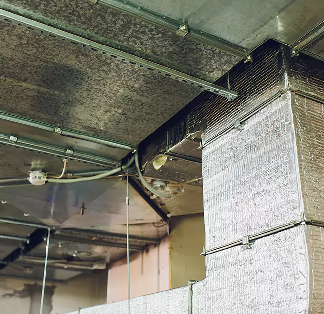 Why Homeowners & Businesses Trust Us in New Territory, TX?