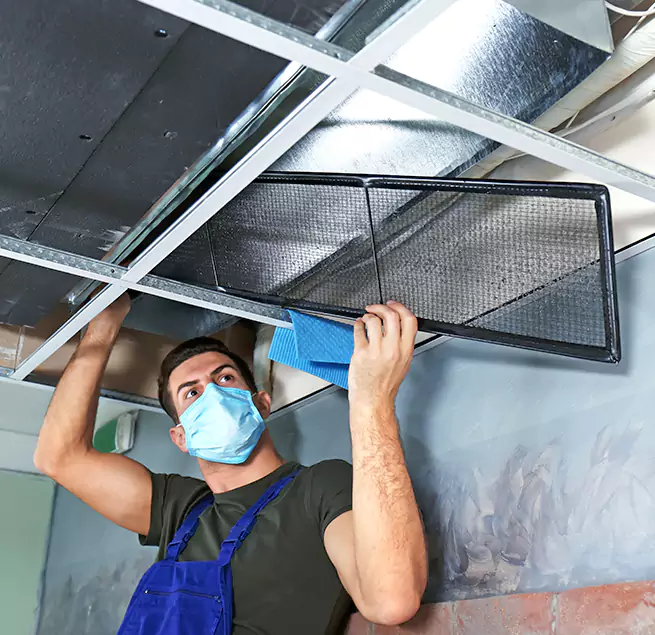 Why Homeowners Businesses Trust Us in New Territory, TX?